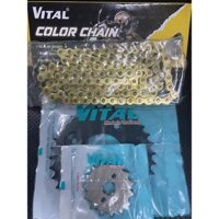 Sên vàng nhông dĩa honda Msx125 /msx125 cc size sin 15-34-sên vàng 9ly chính hãng Vital