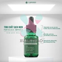 Serum Caryophy Giảm Mụn Mờ Thâm Se Lỗ Chân Lông 30ml Portulaca Ampoule