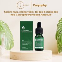 Serum Caryophy Portulaca Ampoule 10ml 3in1