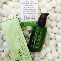 Serum dưỡng da chuyên sâu hạt trà xanh Innisfree green tea seed serum