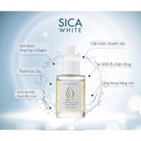 SERUM HA PLUS