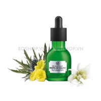 Serum The Body Shop Drops Of Youth 30ml