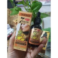 SERUM /TINH DẦU MỌC TÓC / DƯỠNG TÓC CHẮC KHOẺ/ NGĂN GÃY RỤNG/ GINGER GERMINAL OIL HAIR CARE 7 DAY