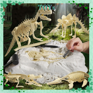 Bộ khảo cổ hóa thạch vàng SES 25022SES