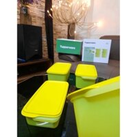 Set 04 hộp Tupperware đựng rau, hoa quả