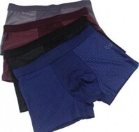 SET 05 quần lót nam thông khí dạng đùi Mẫu 409 - nhiều màu - Size 2XL 52-62kg