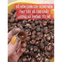 Set 1 kg Quả bồ hòn tách hạt Bắc Cạn - Mới, nhựa thơm, saponin cao nhất Việt Nam
