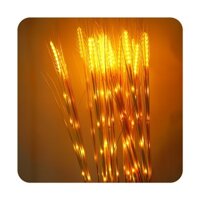 Set 10 Bông Lúa Có Đèn Led Decor Trang Trí