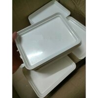 Set 10 đĩa nhựa trắng VNA