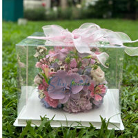 Set 10 Hộp Mica 32x32x25- Hộp nhựa đựng bánh sinh nhật, đựng quà, bánh kem [Chưa Kèm Ruy Băng]