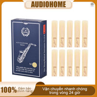 Set 10 Kèn Alto Saxophone 3.0 Cho Người Mới Bắt Đầu