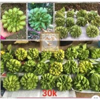 set 10 quả phật thủ size nhỡ