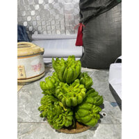 Set 10 quả Phật thủ