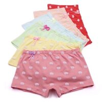set 10 quần chip đùi bé gái- Giá rẻ số 1