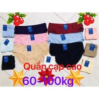 Set 10 quần lót nữ BIG SIZE Thun cotton  Cạp cao Hàng Việt NamTừ 60kg đến 110kg Hàng Việt Nam - Size XL
