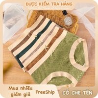 Set 10 quần lót nữ su lụa ren, quần chip nữ viền su non cao cấp, thông hơi, đáy kháng khuẩn, mềm mịn LR02 - Pinksoul