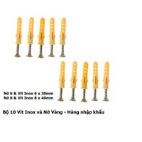Set 10 Vít Inox 304 Kèm Nở Nhựa màu Vàng 6 – 8mm – Hàng Tốt, Vít Inox Nở Treo Tường Chắc Chắn – TakyShop  5080
