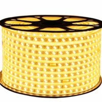 [SET 100m] Đèn LED Đôi Dây 2835 120led/m Màu Trắng- Vàng -Xanh Dương- set 100m Tặng khiển nguồn