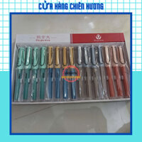 Set 15 Bút Máy Xóa Được 667 Ngòi Kim Tinh