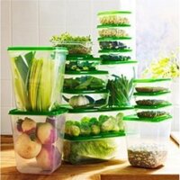 Set 17 Hộp Đựng Thức Ăn Để Tủ (Nhựa)
