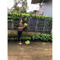 SET 18 TÚI TRỒNG CÂY TREO TƯỜNG