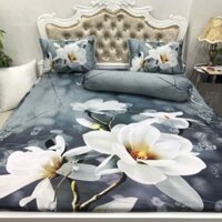 Set 1,8m + mền thun lạnh 5D cho khách