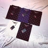 Set 2 áo Pierre Cardin