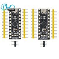 Set 2 Bảng Mạch Phát Triển STM32F411 STM32F411CEU6 STM32F4 Chuyên Dụng