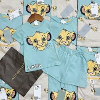 Set 2 bộ HM simba - cotton 4 chiều loại