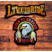 Sét 2 Miếng Sticker Thêu Ủi TẶNG KEO ỦI Hình Đại Bàng khổng lồ Cao Cấp Chuyên Dụng Trang Trí Quần jeans Áo Thun