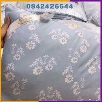 Set 2 Ruột gối hơi cao cấp EVIKO mẫu hoa trà--HH208