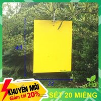 Set 20 Miếng dán ruồi vàng 22 x 40 cm - T34.1