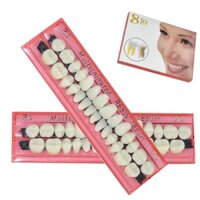 Set 28 Mô Hình Răng 3d Màu Sắc Tương Phản Bằng Nhựa resin