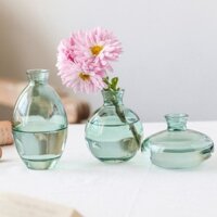 Set 3 Bình Hoa Mini Kesoto Xinh Xắn Trồng Cây Thủy Sinh Size 6-9-12cm