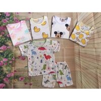 Sét 3 bộ cotton giấy