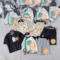 SET 3 BỘ SƯ TỬ CỘC TAY CHO BÉ