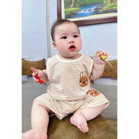 SET 3 BỘ THỎ NÂU CHO BÉ