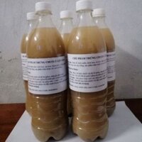 Sét 3 chai Dịch chuối trứng