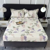 Set 3 món Ga 2 Vỏ gối Lụa Thái  mềm mịn màng êm ái- Hàng chuẩn loại 1 -nệm cao 20 cm  (NT Shop- hỏa tốc Đà Nẵng)