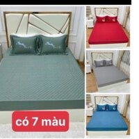 Set 3 món Ga chun phi lụa trần bông kèm 2 vỏ gối đầu thêu giá rẻ