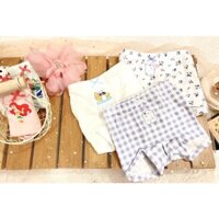 SET 3 quần chip cho bé gái từ 3-10 tuổi KDT