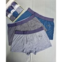 Set 3 Quần lót  đùi (boxer) nam vải sợi tre (bamboo) hiệu NeemZ