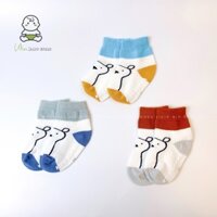 SET 3 vớ chống trượt