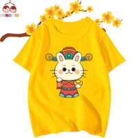 Set 4 Áo thun tết hình mèo cầm cá chép vàng 2023 bé từ 6kg-30kg.AT08.