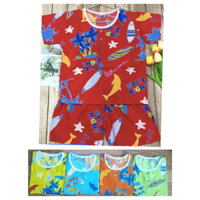 Set 4 Bộ Tole Bé Trai (22-26kg) (4 bộ 4 màu 4 họa tiết khác nhau)