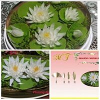 SET 4 KIM RAU CAU 3D HOA SÚNG