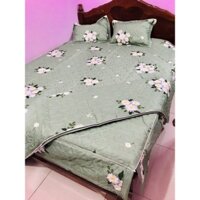 [sét 4 món] Chăn hè ga gối trần bông cotton - chăn mền hè thu