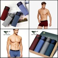 Set 4 quần boxer nam kháng khuẩn Septwolves 97054 cao cấp