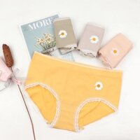 Sét 4 quần hoa cúc