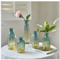 Set 5 Bình Hoa Thủy Tinh , Bình Cắm Hoa Decor Nhà Cửa